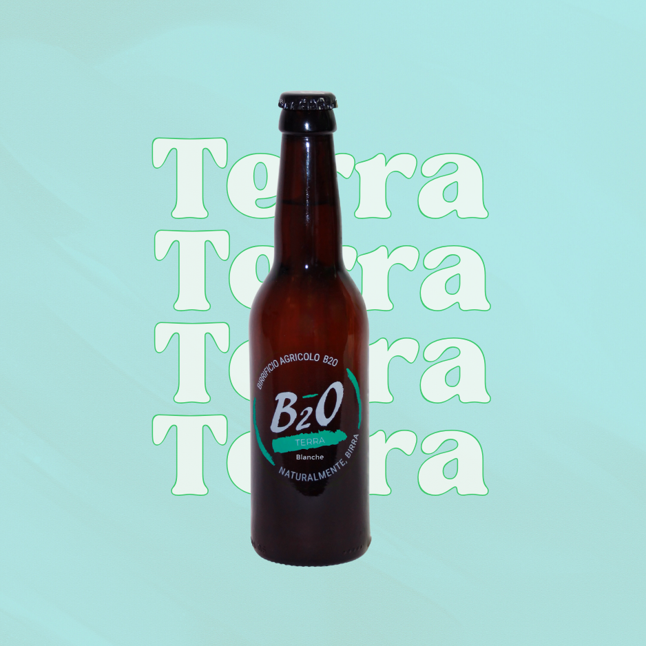 Birra Chiara Terra