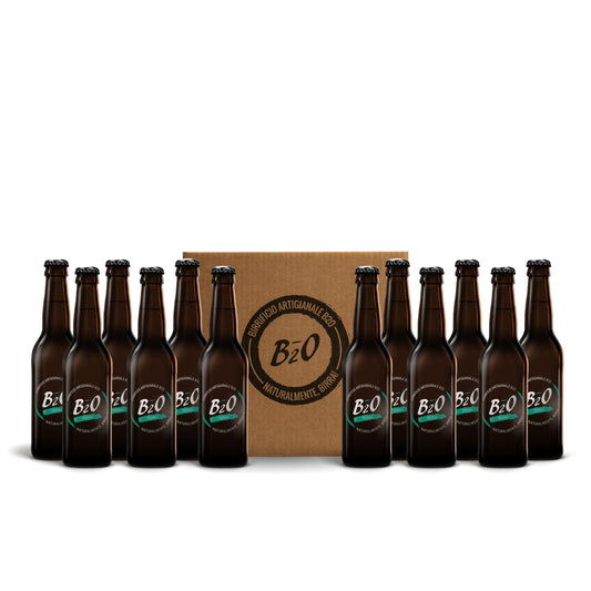 Birra chiara Terra 33 cl 12 Pack