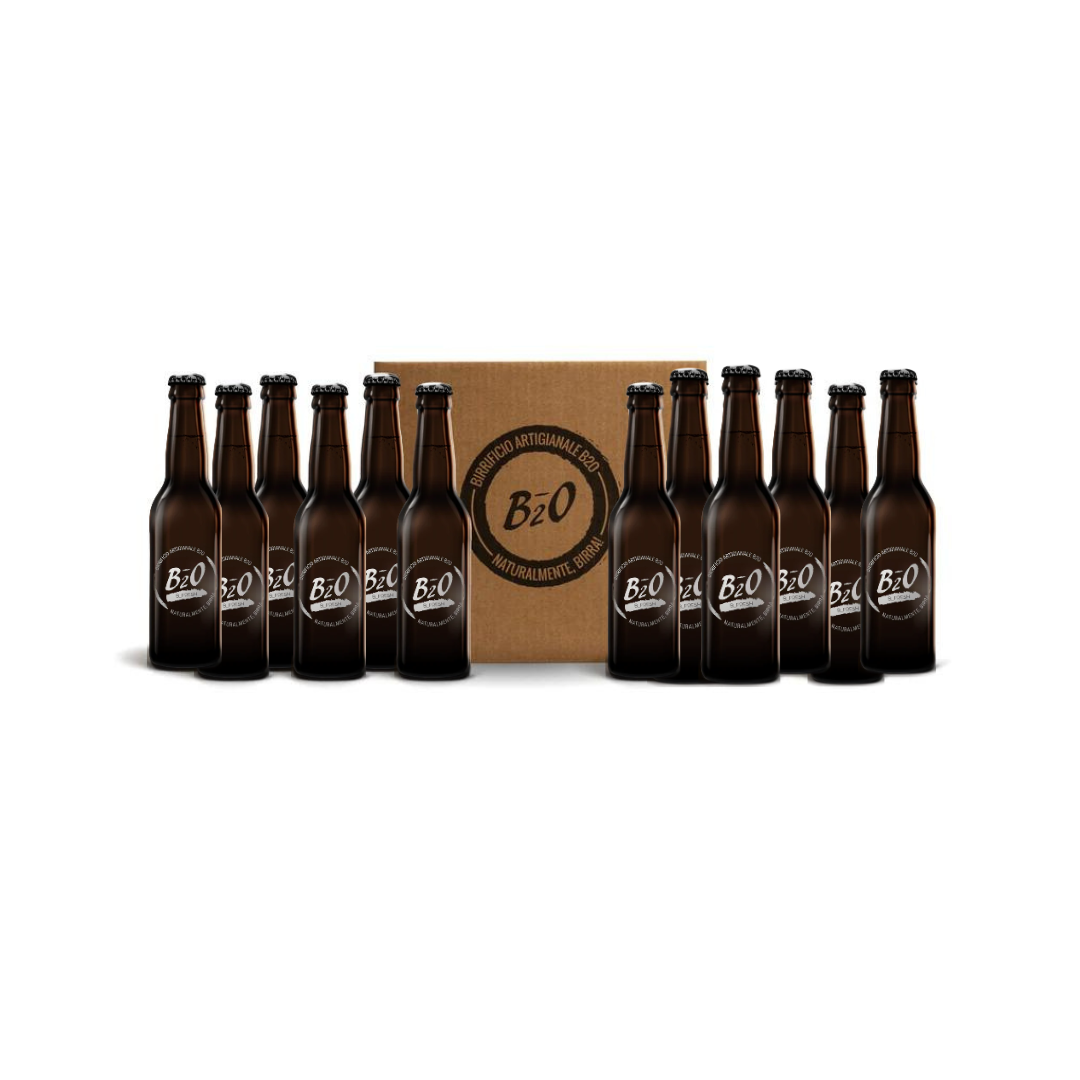 Birra chiara B_Fresh 33 cl 12 pack