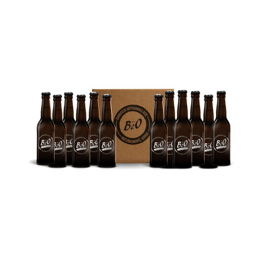 Birra chiara B_Fresh 33 cl 12 pack