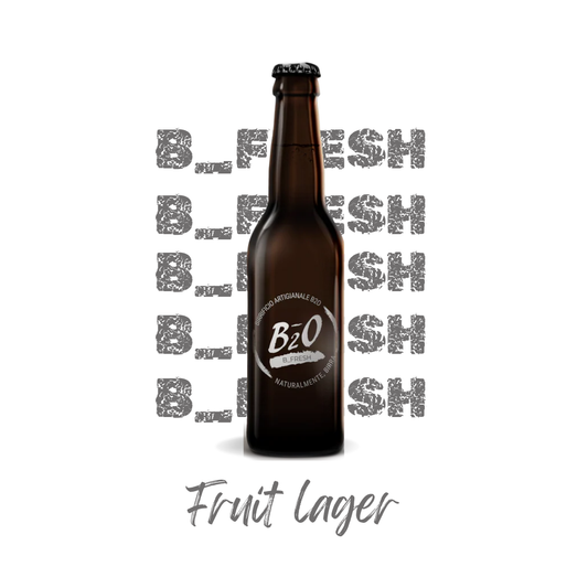 Birra chiara B_Fresh 33 cl