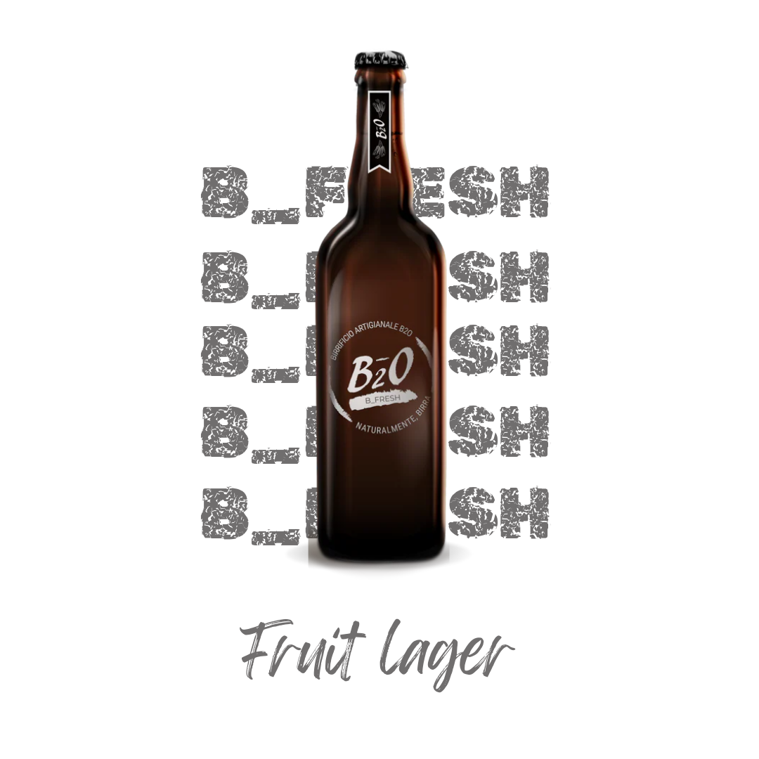 Birra chiara B_Fresh 75 cl