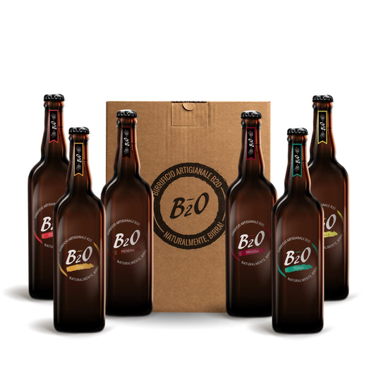 6 Pack Mix 75 cl - Mix degustazione birre B2O