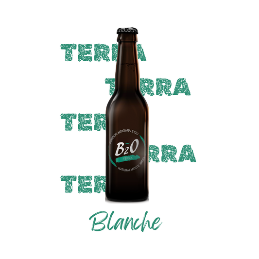 Birra chiara Terra 33 cl