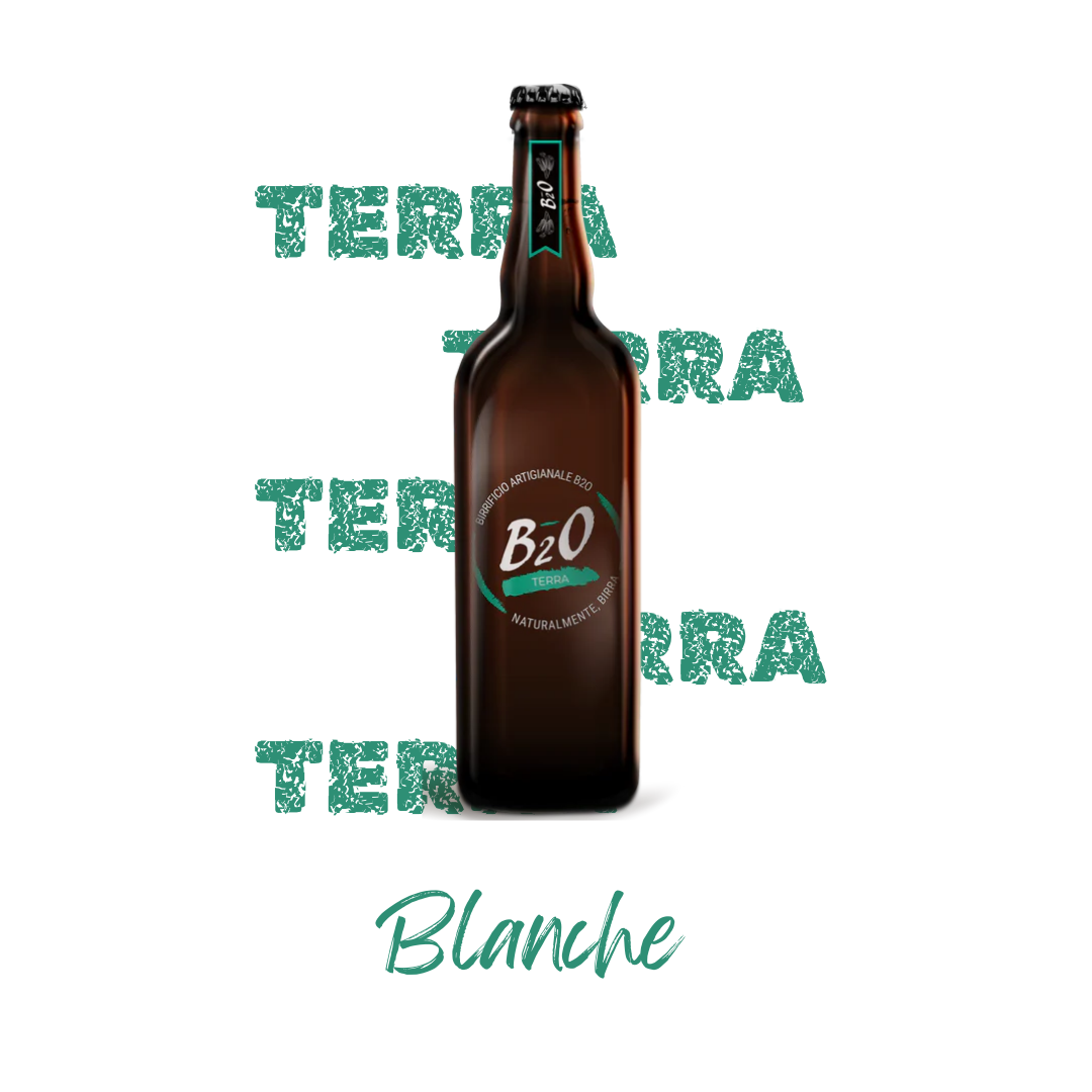 Birra chiara Terra 75 cl